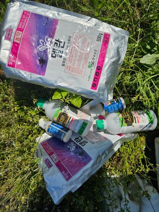 황종현님의 자두 · 영농일지 작성글 사진