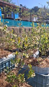 bpjh9173님의 작성글 사진