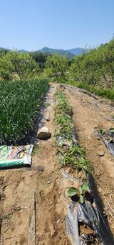 김동일님의 작성글 사진