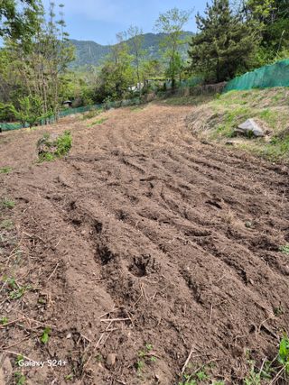 진문거사님의 기타작물 · 영농일지 작성글 사진