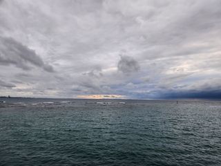 꿀복이농장님의 복숭아 · 영농일지 작성글 사진