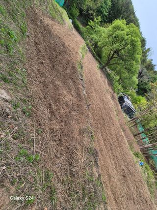 진문거사님의 기타작물 · 영농일지 작성글 사진