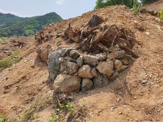 김순곤님의 기타작물 · 영농일지 작성글 사진