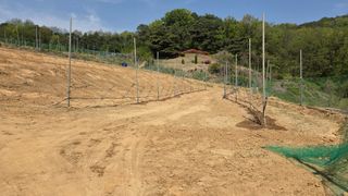 김기득 님의 기타작물 · 영농일지 작성글 사진