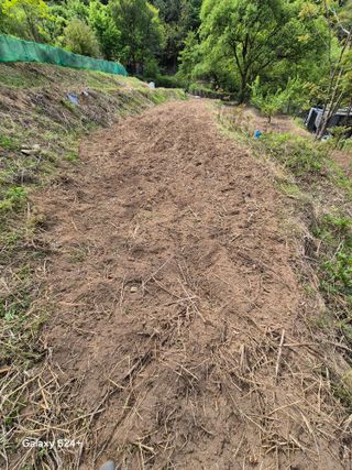 진문거사님의 기타작물 · 영농일지 작성글 사진