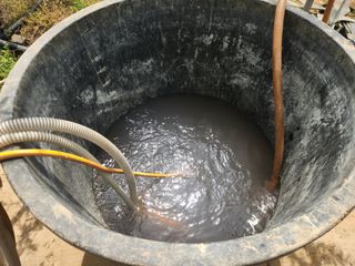 꿀복이농장님의 복숭아 · 영농일지 작성글 사진