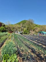 이경옥님의 작성글 사진