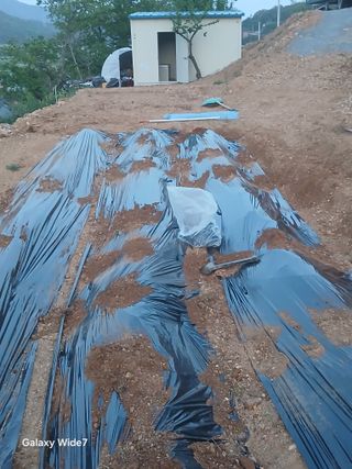 김명자님의 기타작물 · 영농일지 작성글 사진