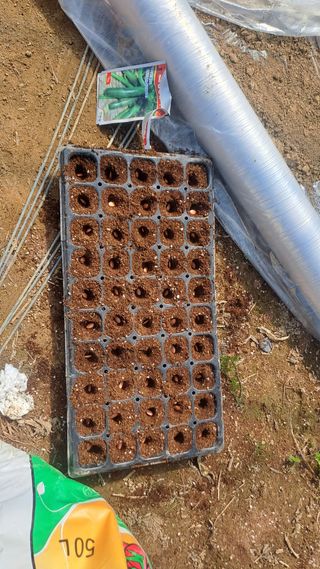 월굴리이승재님의 기타작물 · 영농일지 작성글 사진