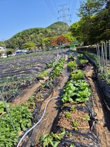 이경옥님의 작성글 사진