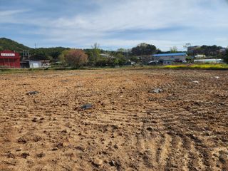 이욱주님의 두릅 · 영농일지 작성글 사진