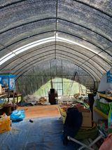 팜모닝 기타작물·영농일지 게시글 이미지