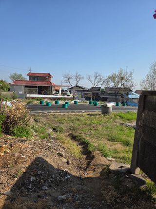 백현호님의 블루베리 · 영농일지 작성글 사진