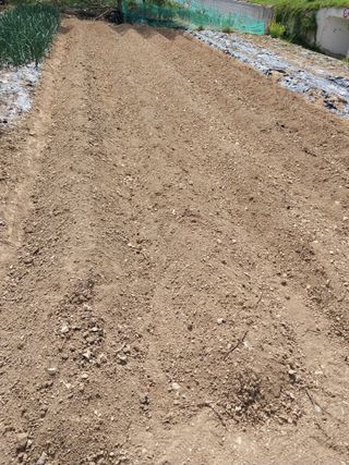 상추20832님의 기타작물 · 영농일지 작성글 사진