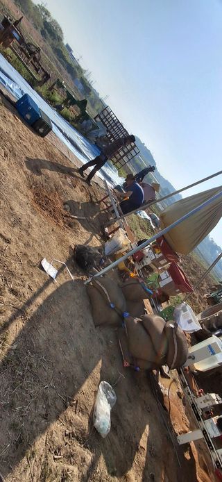 홍순철님의 벼 · 영농일지 작성글 사진