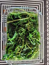 팜모닝 두릅·영농일지 게시글 이미지