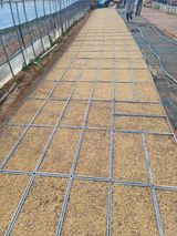 인산님의 작성글 사진