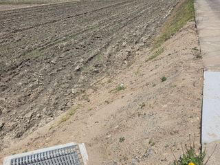 신언중님의 벼 · 영농일지 작성글 사진