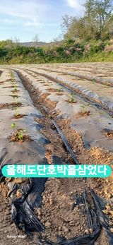 팜모닝 벼·영농일지 게시글 이미지