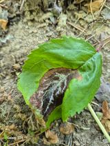 박성균님의 작성글 사진