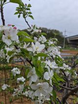 써니님의 작성글 사진