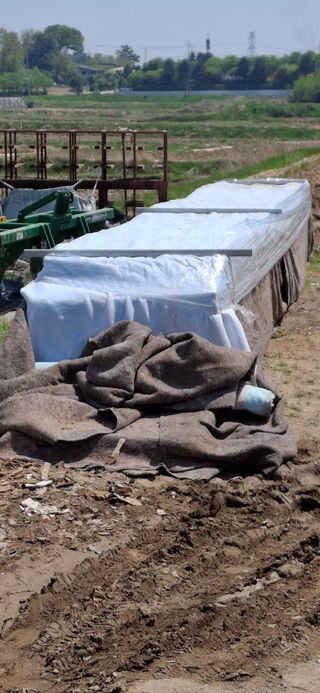 홍순철님의 벼 · 영농일지 작성글 사진