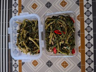 자연같이님의 두릅 · 영농일지 작성글 사진