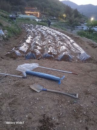 김명자님의 기타작물 · 영농일지 작성글 사진