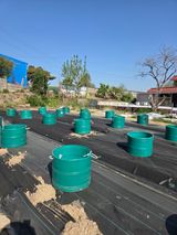 백현호님의 작성글 사진