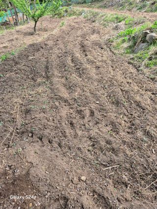 진문거사님의 기타작물 · 영농일지 작성글 사진