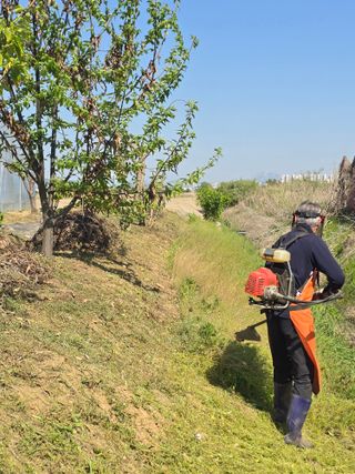 비타민님의 블루베리 · 영농일지 작성글 사진
