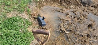 이복길님의 기타작물 · 영농일지 작성글 사진