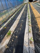 현모양처(양현모)님의 작성글 사진