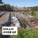 시민농장님의 작성글 사진