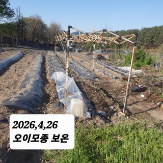 시민농장님의 기타작물 · 영농일지 작성글 사진