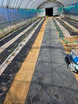 현모양처(양현모)님의 작성글 사진