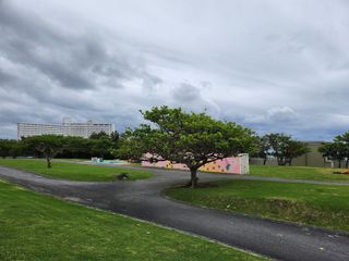 꿀복이농장님의 복숭아 · 영농일지 작성글 사진