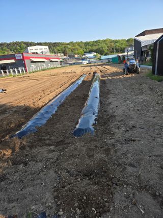 뚜벅이님의 기타작물 · 영농일지 작성글 사진
