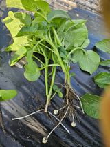 김해열님의 작성글 사진