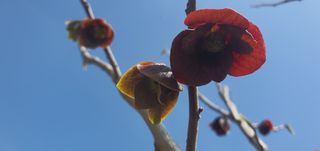 박상중님의 기타작물 · 영농일지 작성글 사진