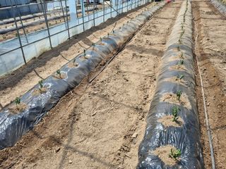 원인호님의 작성글 사진