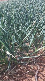 bpjh9173님의 작성글 사진