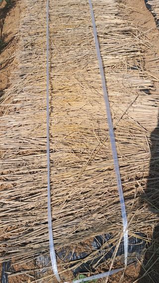 bpjh9173님의 기타작물 · 영농일지 작성글 사진