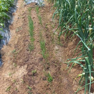 김건우님의 작성글 사진