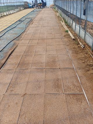 인산님의 기타작물 · 영농일지 작성글 사진