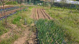 정인재님의 파 · 영농일지 작성글 사진