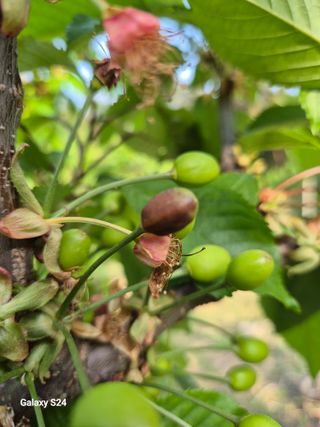 박성균님의 작성글 사진