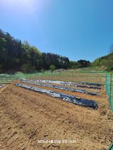 이수홍(이창희)님의 작성글 사진