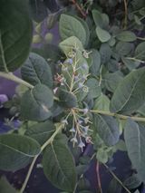 박영희님의 작성글 사진