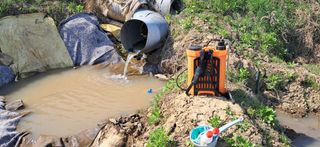 이복길님의 기타작물 · 영농일지 작성글 사진